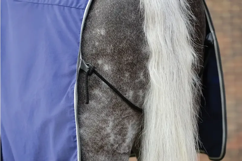 Weatherbeeta Cotton Show Sheet With Surcingle's II Standard Neck - Dark Blue-2