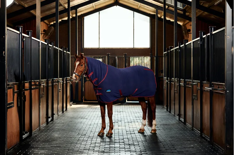 Weatherbeeta Anti-Static Fleece Cooler Combo - Navy/Burgundy-1