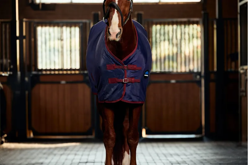 Weatherbeeta Anti-Static Fleece Cooler Standard - Navy/Burgundy-4