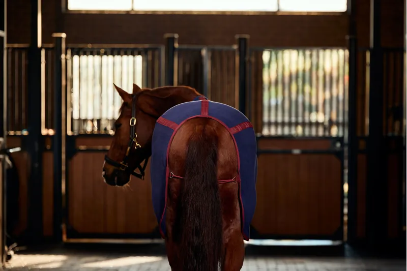 Weatherbeeta Anti-Static Fleece Cooler Standard - Navy/Burgundy-3
