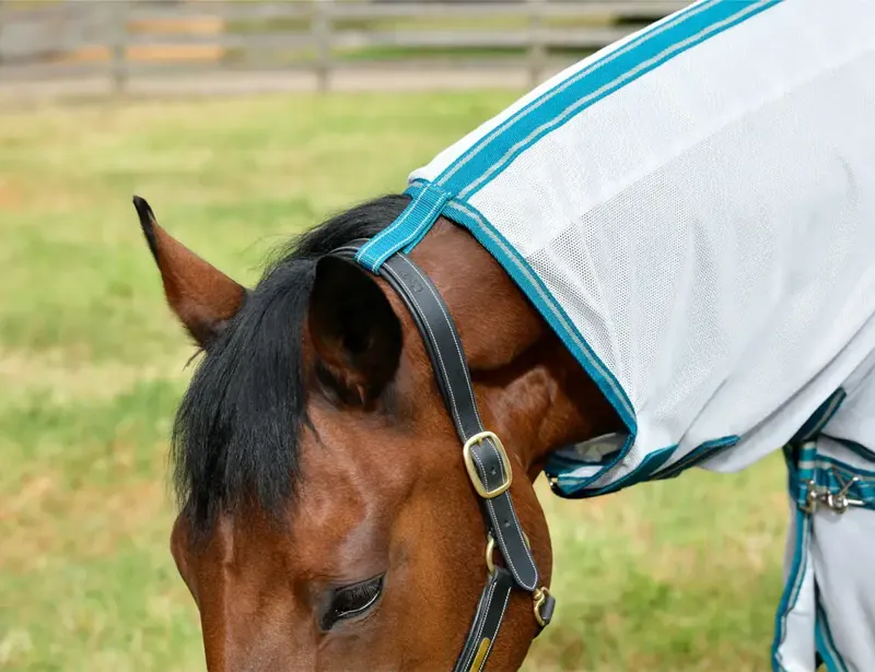 Weatherbeeta ComFiTec Zephyr Plus Mesh Combo Neck Fly Rug - Silver/Teal/ Green Stone-2