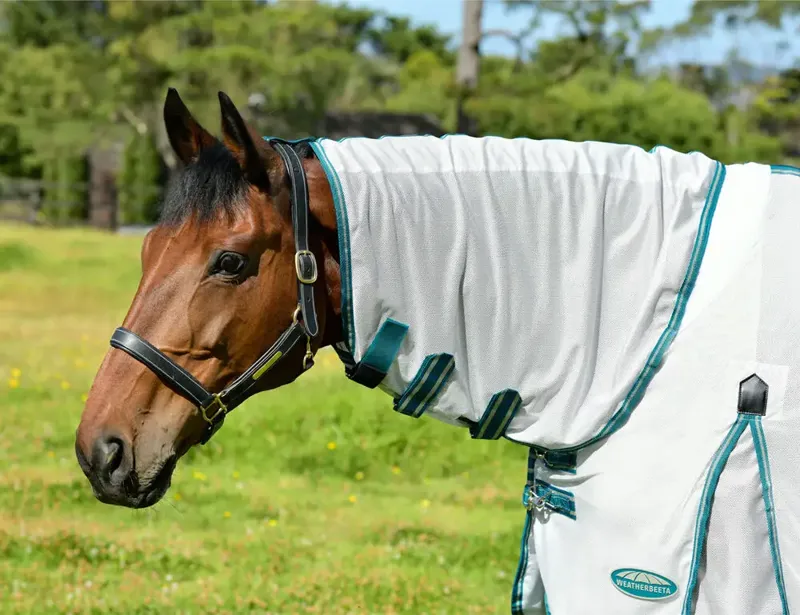 Weatherbeeta ComFiTec Zephyr Plus Mesh Combo Neck Fly Rug - Silver/Teal/ Green Stone-6