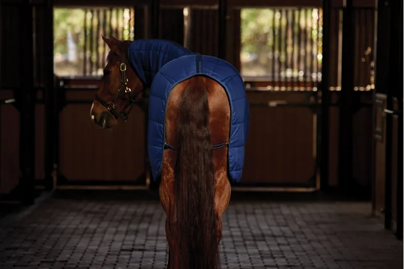 Weatherbeeta Comfitec Under Rug Combo 220g-5