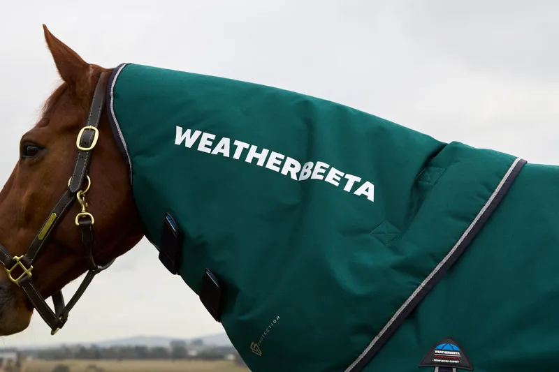 Weatherbeeta Comfitec Plus Dynamic Turnout Detach-A-Neck 220g Navy/Forest Green-3