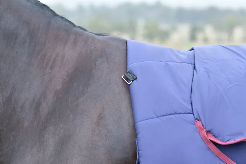 Weatherbeeta Comfitec Essential Turnout Combo 360g Navy/Burgundy-4