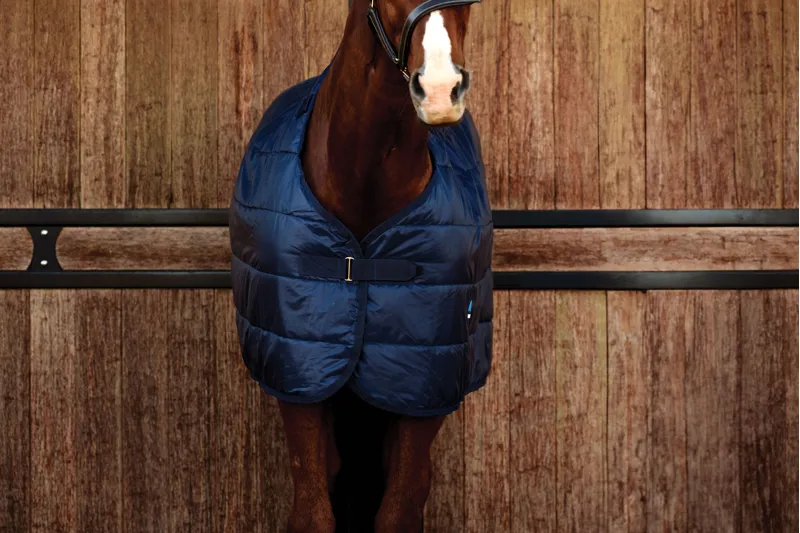 Weatherbeeta Comfitec Liner 200g - Navy-2