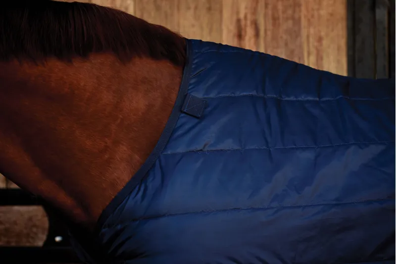 Weatherbeeta Comfitec Liner 100g - Navy-3