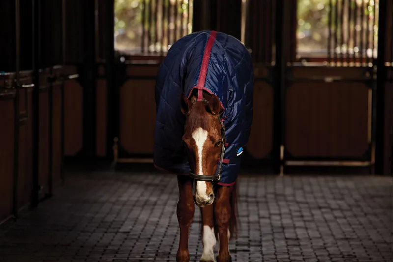 Weatherbeeta Comfitec 210d Channel Quilt Stable Combo 100g - Navy/Burgundy-3