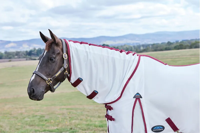 Weatherbeeta Comfitec Essential Fly Sheet Combo - White/Burgundy-1