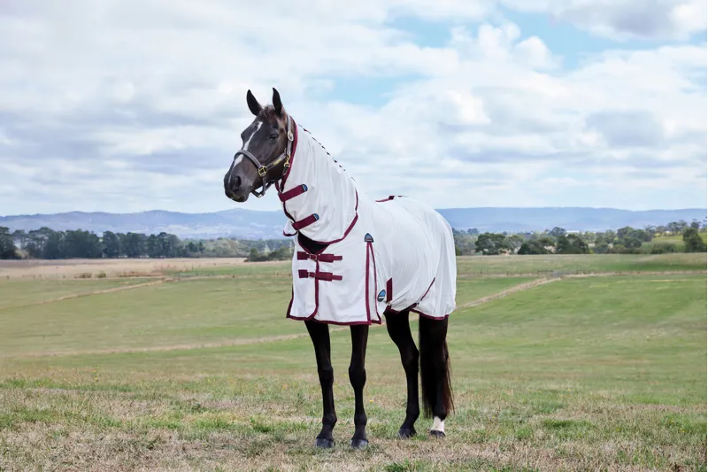 Weatherbeeta Comfitec Essential Fly Sheet Combo - White/Burgundy