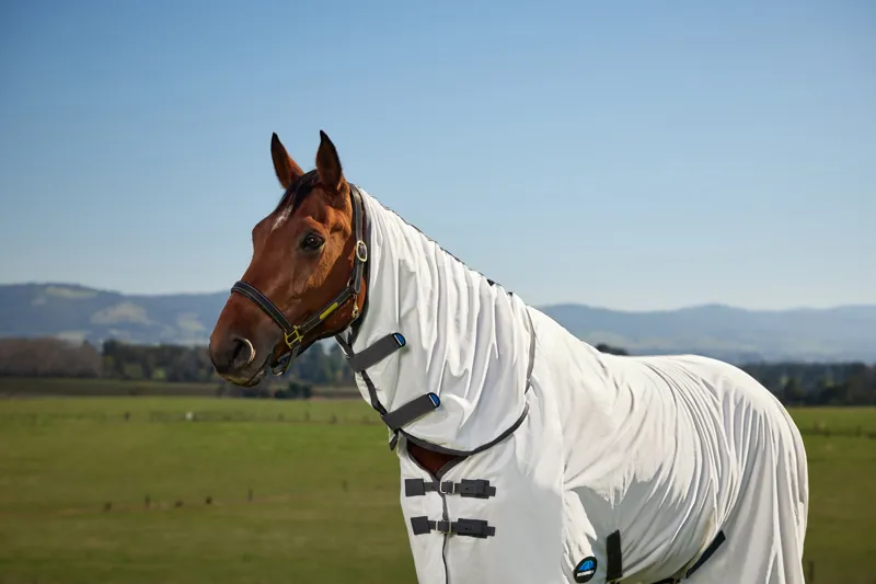 Weatherbeeta Comfitec Tyro Fly Sheet Combo - White/Charcoal-1