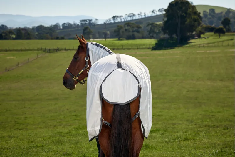 Weatherbeeta Comfitec Tyro Fly Sheet Combo - White/Charcoal-5