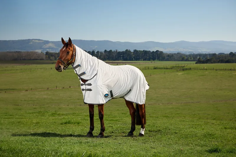 Weatherbeeta Comfitec Tyro Fly Sheet Combo - White/Charcoal-2