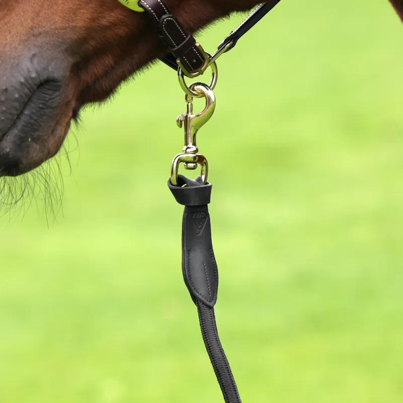 Velociti Lusso 2 Metres Leather Lead Rope - Black-1