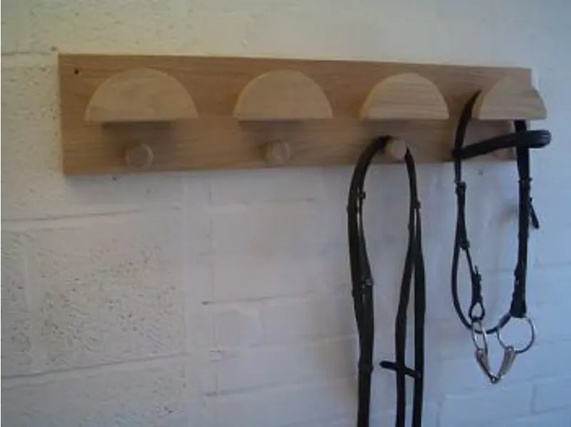 Cloakrooms 4 Station Bridle Hook