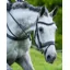 Fairfax Bridle - Flash Black