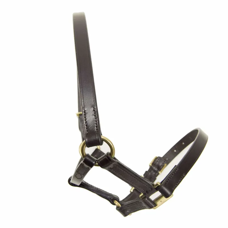 Ascot Leather Foal Halter 