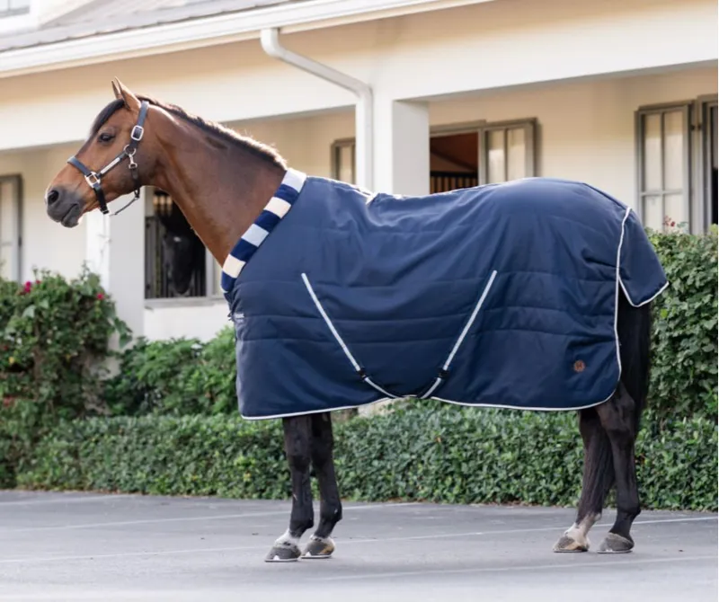 Horseware Newmarket Cosy Stable 100g - Whitney Navy