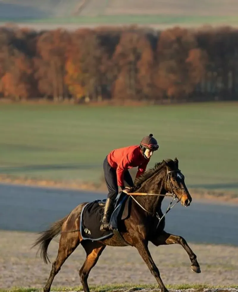 ReinRite Training Aid - Racing-3