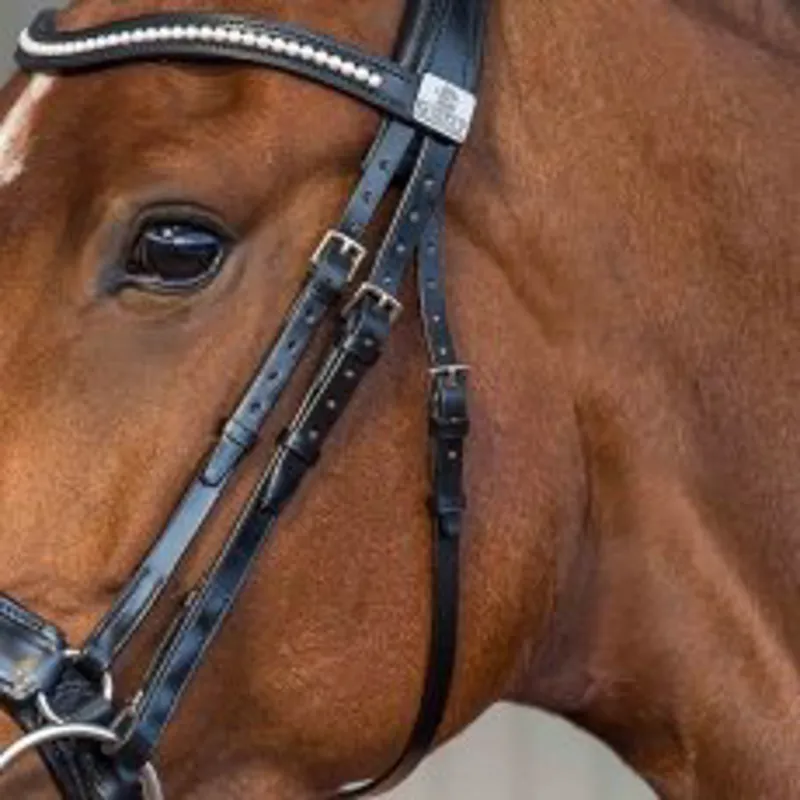 Fairfax Snaffle Cheekpieces Brown-1