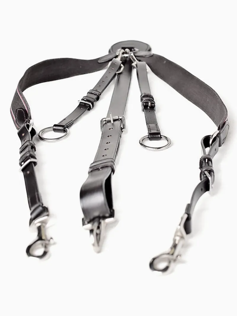 Ascot V Check Breastplate - Black