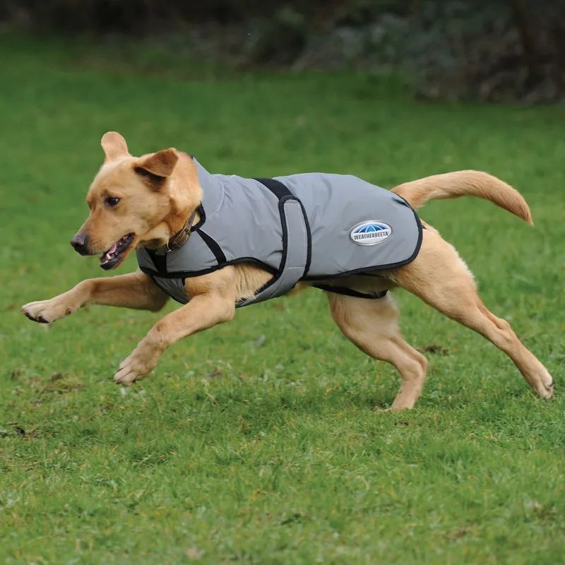 Weatherbeeta Comfitec Reflective Dog Coat Medium - Silver-5