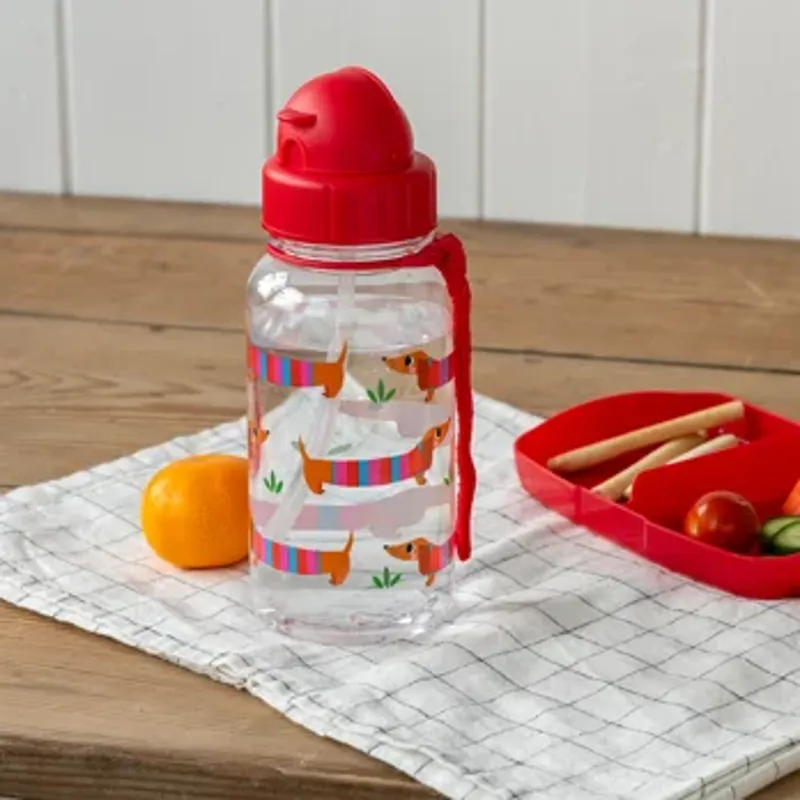 Rex Children's Water Bottle with Straw - 500ml-1