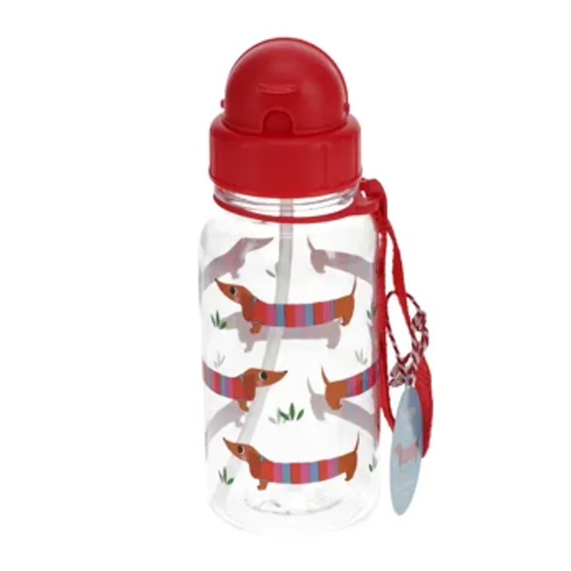 Rex Children's Water Bottle with Straw - 500ml