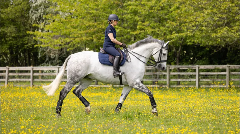 LeMieux GP Work Pad - Navy Large-2