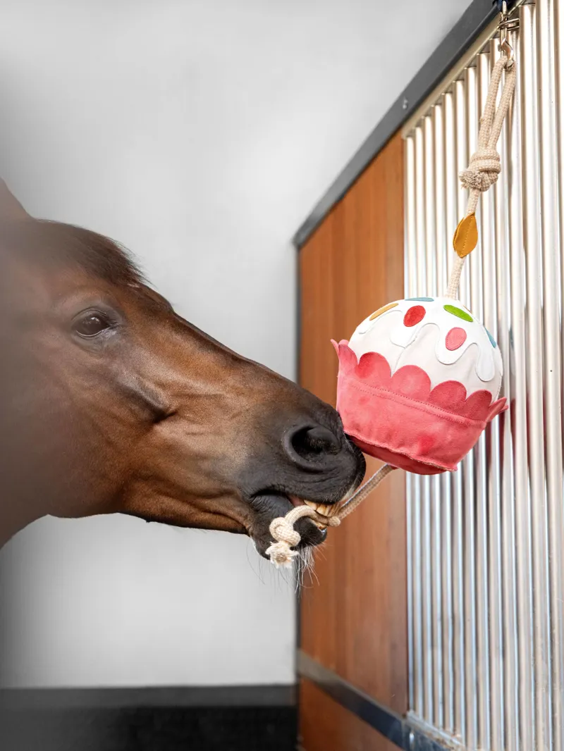 LeMieux Horse Toy - Cupcake-1