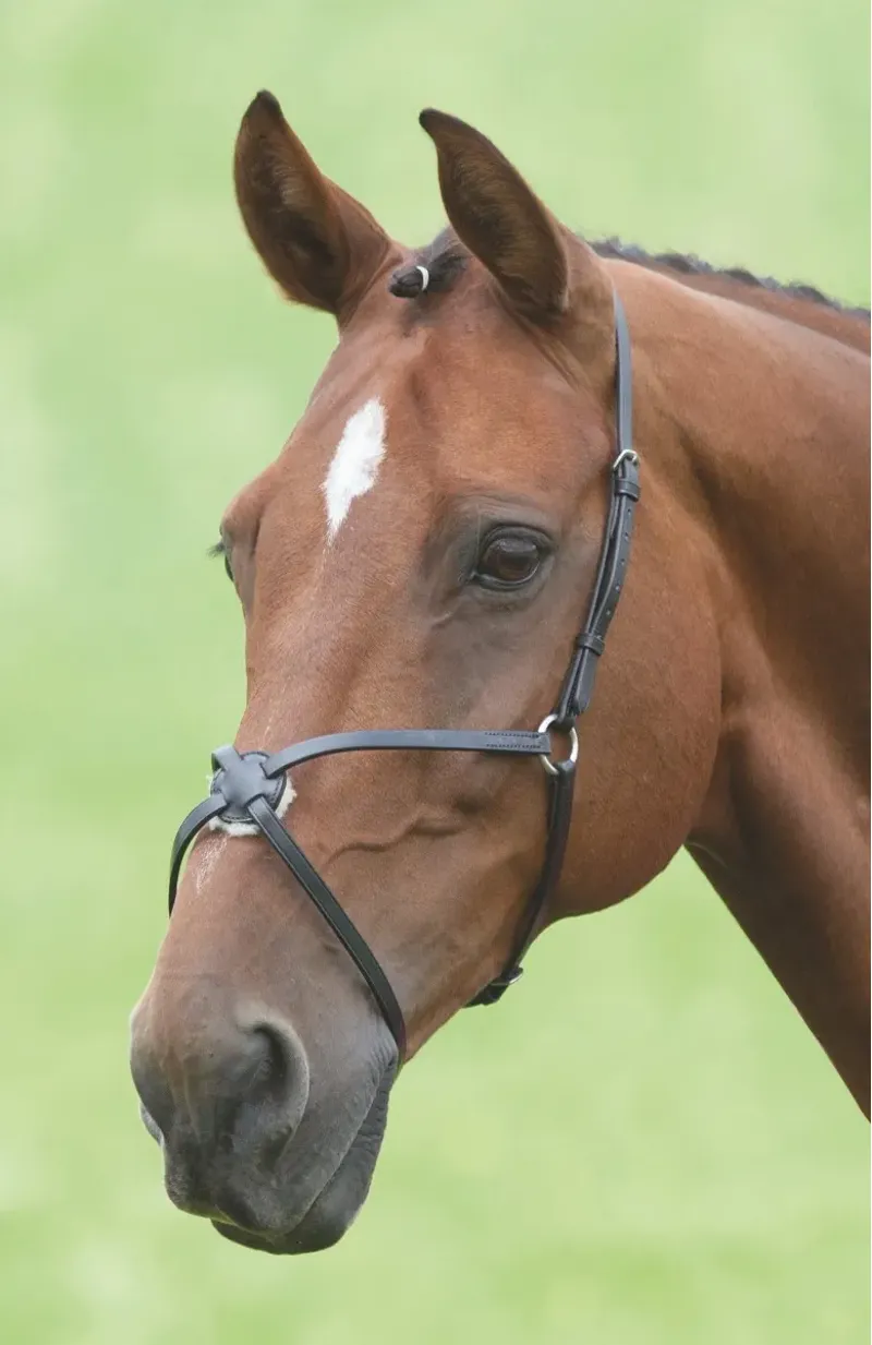 Velociti GARA Mexican Noseband Black