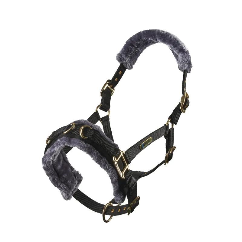 ARMA Fleece Lined Lunge Cavesson BLACK-1