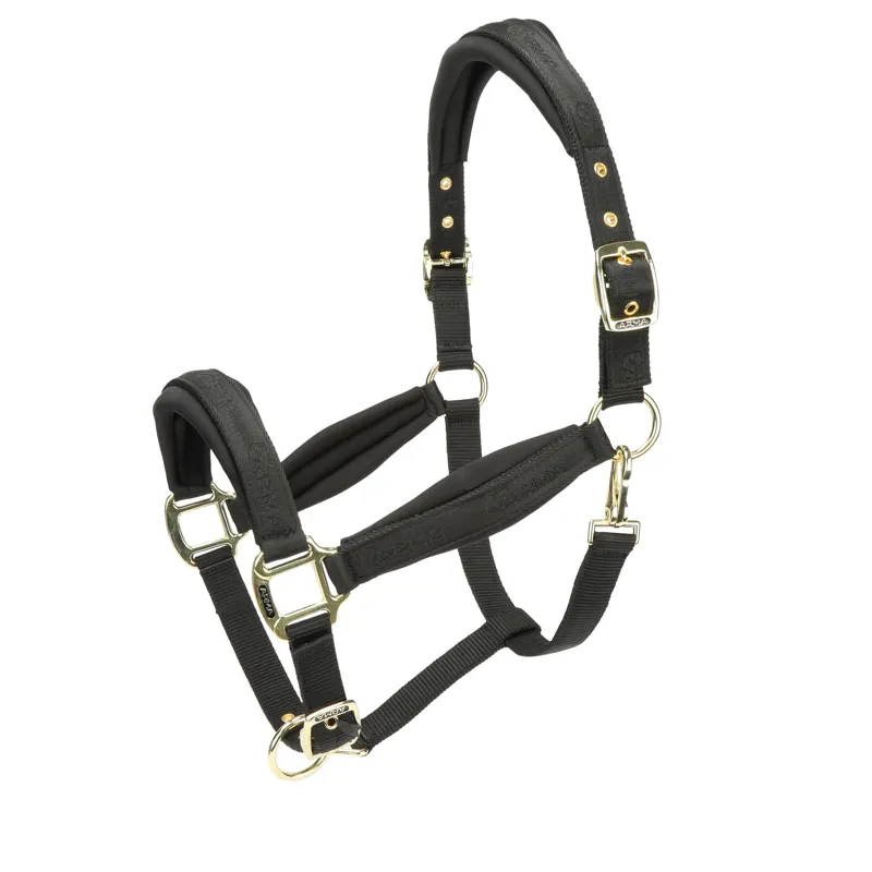 Arma Padded Headcollar - Black