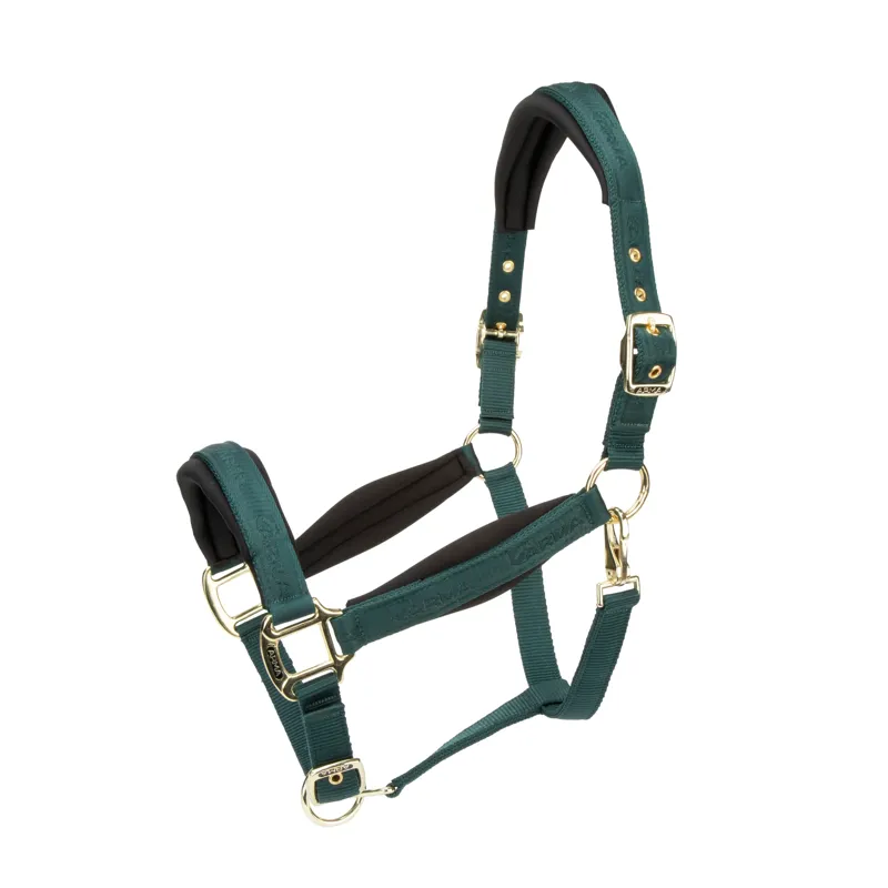 Arma Padded Headcollar - Green