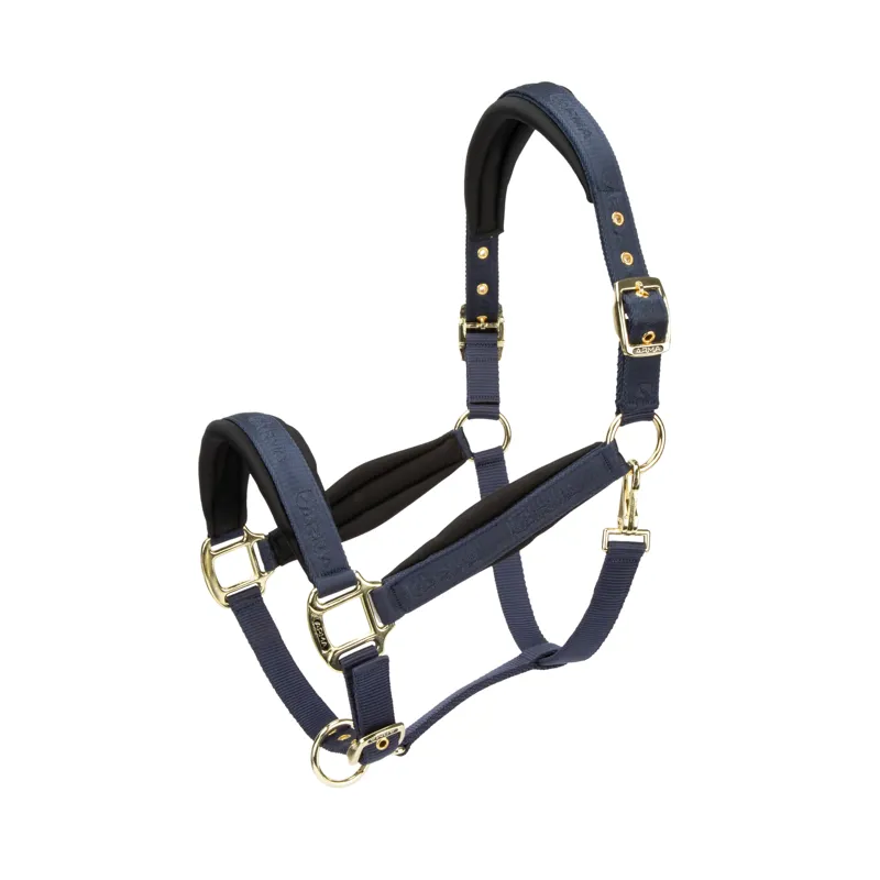 Arma Padded Headcollar - Navy