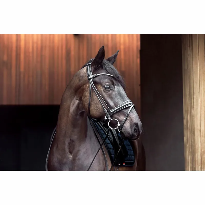 Catago Shay Rolled Bridle Black Full-1