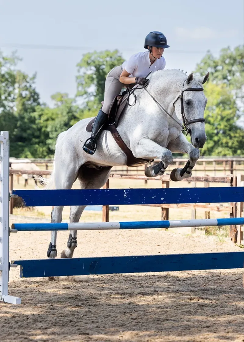 Woof Elite Comfort Saddle Pad CC - Chocolate FS-3