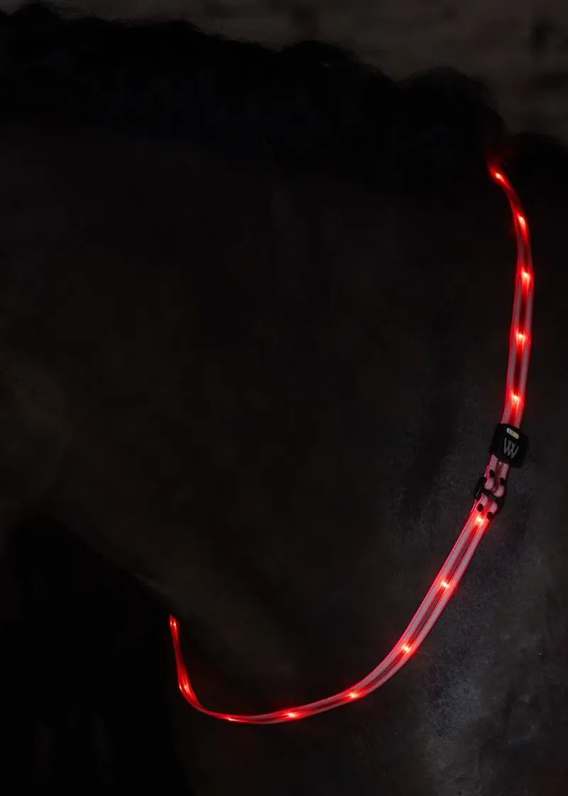 Woof Wear LED Sash - Pink-4