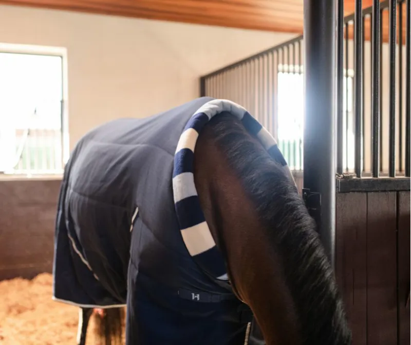 Horseware Newmarket Cosy Stable 100g - Whitney Navy-5