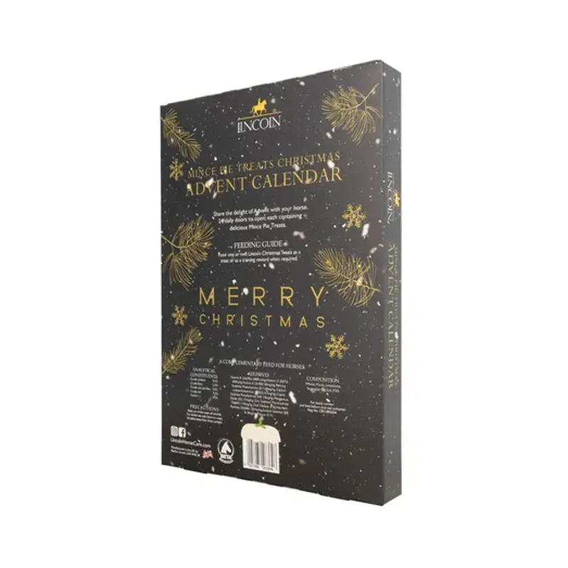 Lincoln Mince Pie Treats Christmas Advent Calendar-1