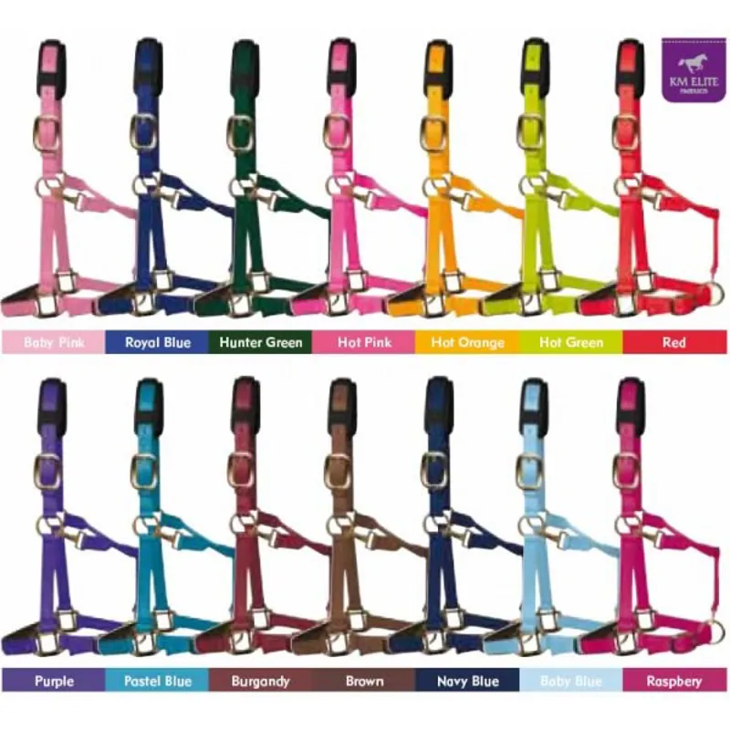 KM Elite Padded Headcollar - Cob