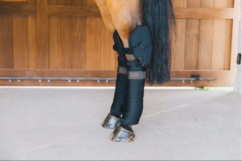 Kentucky Transport Stable Bandage Pad With Hock Protection- Black