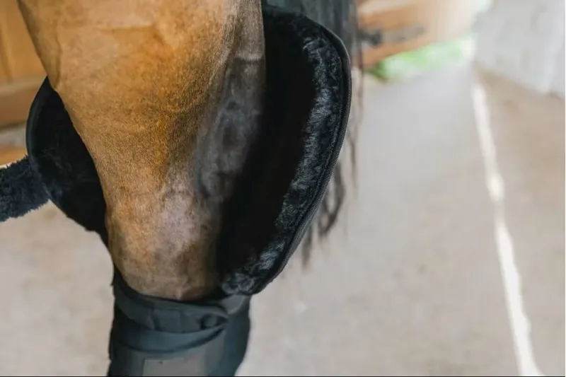 Kentucky Transport Stable Bandage Pad With Hock Protection- Black-2