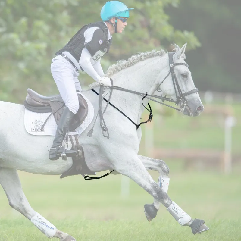 Fairfax  Martingale - Black