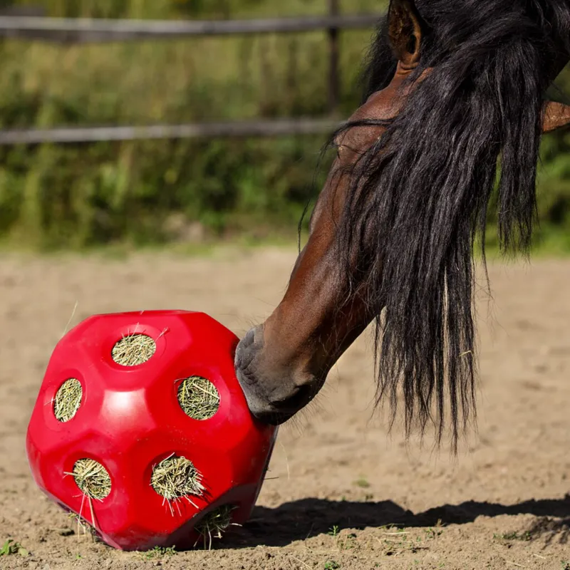 Hayboy Hay Ball-1