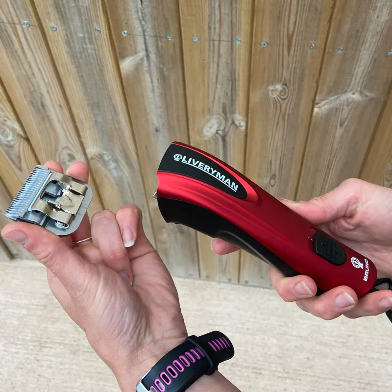 Liveryman Bruno Clipper-4