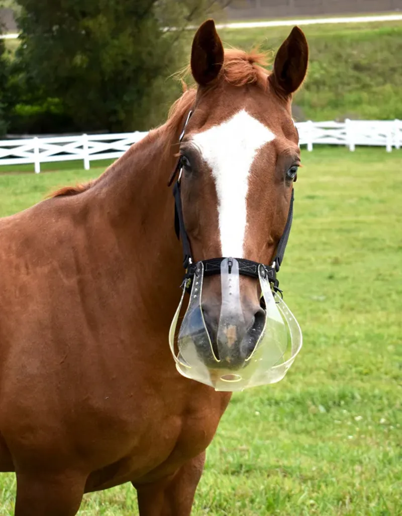 Thinline Grazing Muzzle - Small 3.5cm Hole-1