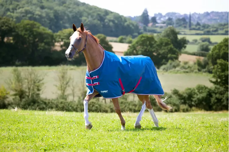 Tempest Original Lite 0g Turnout Rug Teal - 4'0