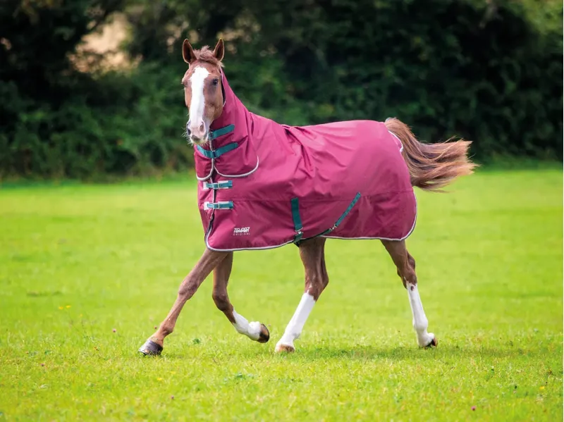 Tempest Original 200g Turnout Combo Rug - Maroon
