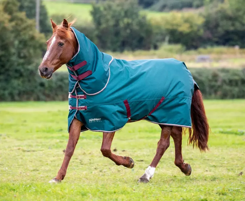 Tempest Original 200 Turnout Rug and Neck Set in Green-2